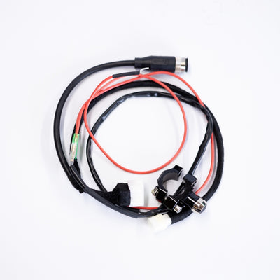 QS-138 Wiring Harness